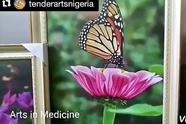 healing art, art in medicine, nigeria, butterfly