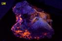 ASTROPHYLLITE, Aegirine crystals, fluorescent SODALITE - Poudrette quarry (Demix quarry; Uni-Mix quarry; Desourdy quarry; Carrière Mont Saint-Hilaire; MSH), Mont Saint-Hilaire, La Vallée-du-Richelieu RCM, Montérégie, Québec, Canada