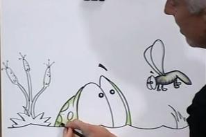 Frog and Firefly video
