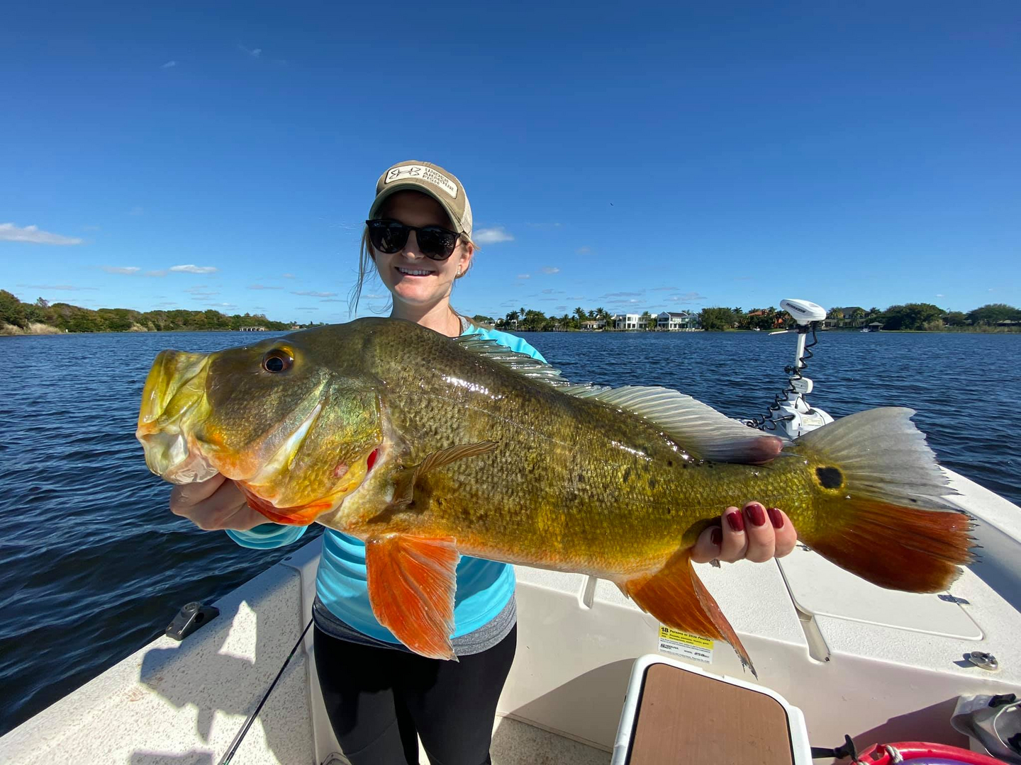 Florida Peacock Bass Fishing