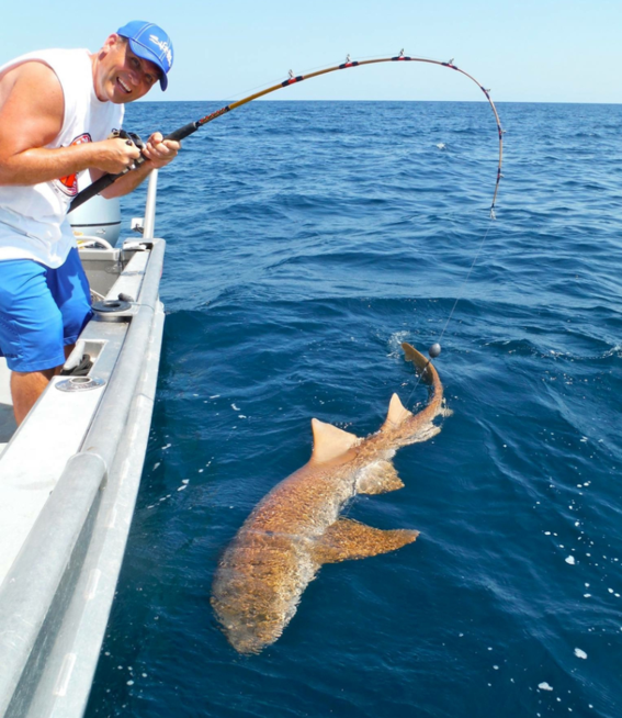 SANIBEL FISH and WILDLIFE