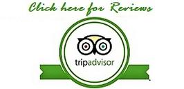 Trip Advisor Reviews