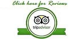 Trip Advisor Reviews