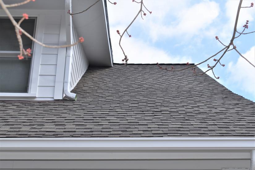 Hardie Siding and Roofing Alexandria, VA