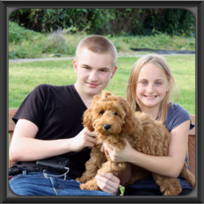 Red labradoodle Puppy with Grandkids