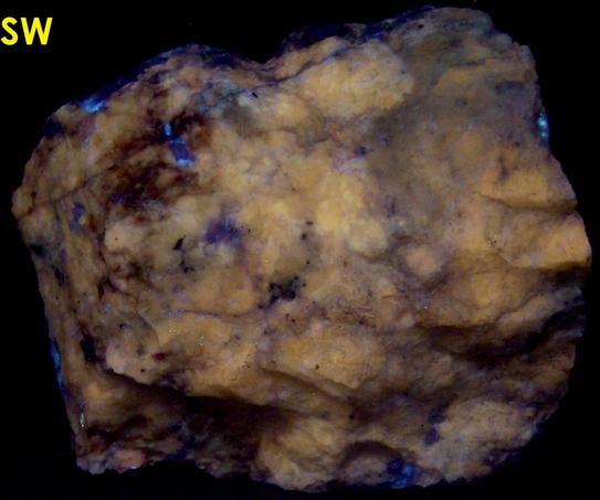 fluorescent SCAPOLITE WERNERITE Meionite-Marialite, TREMOLITE, Pyrite – Grenville Scapolite Prospect, Grenville-sur-la-Rouge, Argenteuil RCM, Laurentides, Quebec, Canada - ex Alan Delany SB#31-47