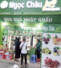 giỏ hoa quả đi lễ, giỏ hoa quả nhập khẩu , lẵng hoa quả nhập khẩu