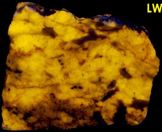 fluorescent SCAPOLITE WERNERITE Meionite-Marialite, TREMOLITE, Pyrite – Grenville Scapolite Prospect, Grenville-sur-la-Rouge, Argenteuil RCM, Laurentides, Quebec, Canada - ex Alan Delany SB#31-47