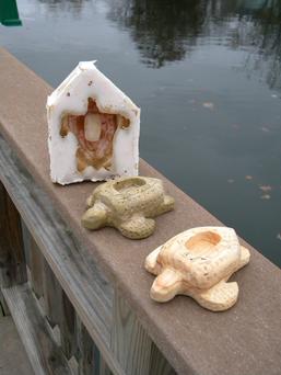 DIY Cement Sea Turtle Candle Holder. www.DIYeasycrafts.com