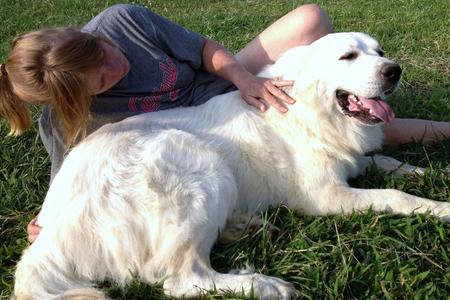 Great Pyrenees puppies ~ Wells' Providence AKC Registered Livestock Guardian Dogs and puppies