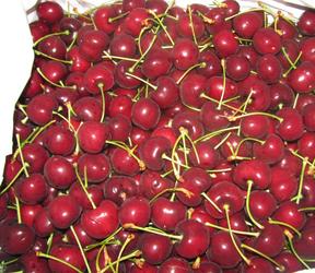 Cherry Mỹ tại Hà Nội