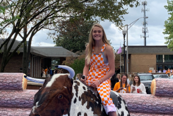 Mechanical Bull Rental Knoxville | Bull Rental | PartyTime Inflatable