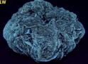 fluorescent phosphorescent GYPSUM SELENITE, Red River floodway, Winnipeg, Manitoba, Canada