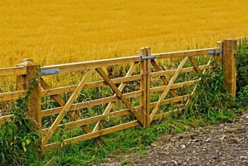 Calgary Handyman Fence and Gate Repair | FT Property Services Inc.