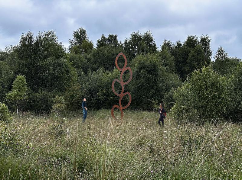 Regeneration sculpture installation for Lough Boora