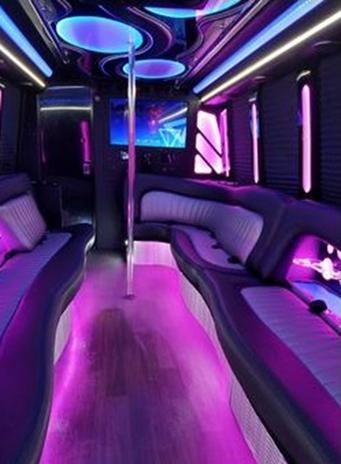 Party Bus 25 Passenger