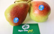 hoa quả nhập khẩu Hà Nội, giỏ hoa quả nhập khẩu Ngọc Châu fruits