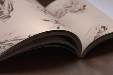 graphic design printed media booklet