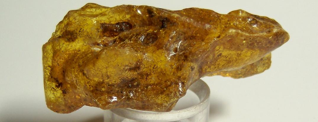 Fluorescent golden AMBER - Dominican Republic, ex Sue MacInnis