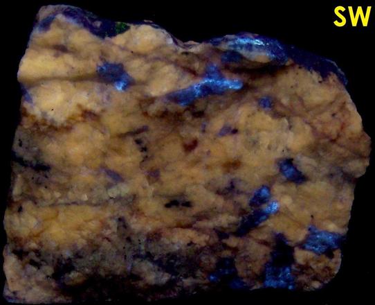 fluorescent SCAPOLITE WERNERITE Meionite-Marialite, TREMOLITE, Pyrite – Grenville Scapolite Prospect, Grenville-sur-la-Rouge, Argenteuil RCM, Laurentides, Quebec, Canada - ex Alan Delany SB#31-47
