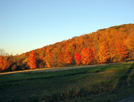 Fall Foliage, October 5th-15th, 2021