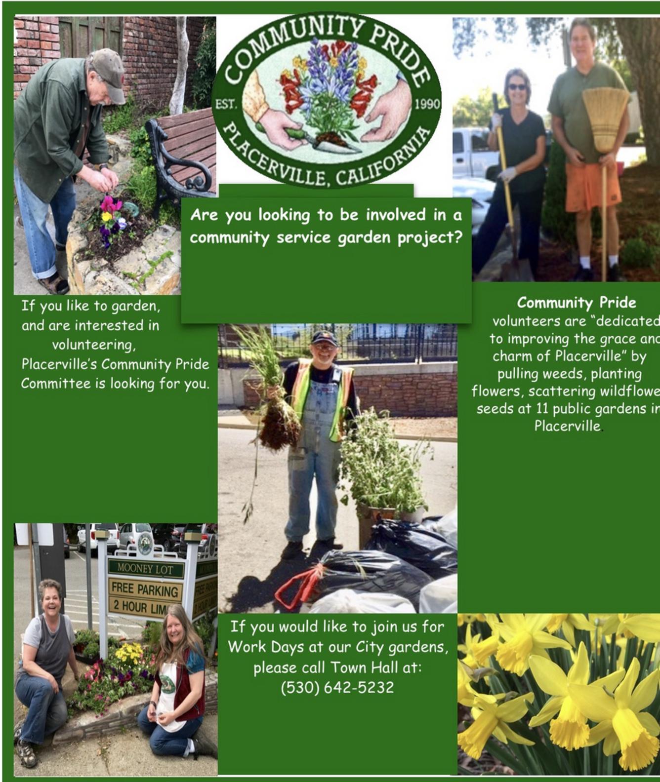 Community Pride Call to Volunteers Placerville California