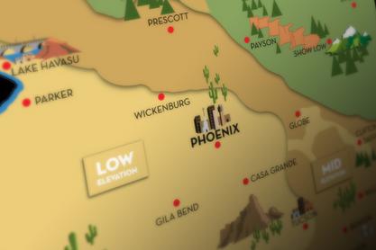 Illustrations & Infographics