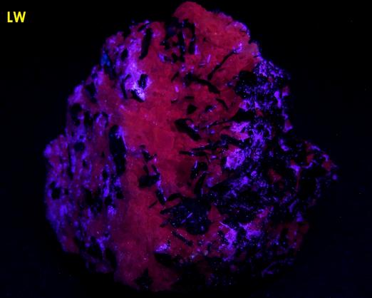 PYROCHLORE, MAGNETITE, Aegirine-Augite, fluorescent Calcite, Oka complex, Oka, Deux-Montagnes RCM, Laurentides, Québec, Canada, ex Adrian Labuz, 1965