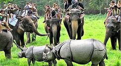 Mayapur Tour