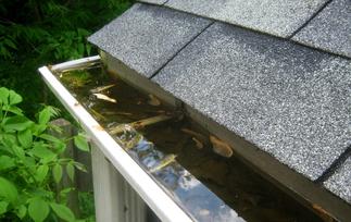 Clogged Gutter Downspout