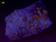 fluorescent PYROMORPHITE, quartz, tetrahedrite, pyrite - closed locality - Pcheloyad Mine, Bulgaria for sale