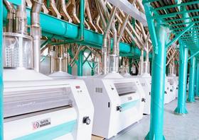 250tonnes wheat flour mill machine with pneumatic roller mill