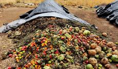 Chaffee County Composting