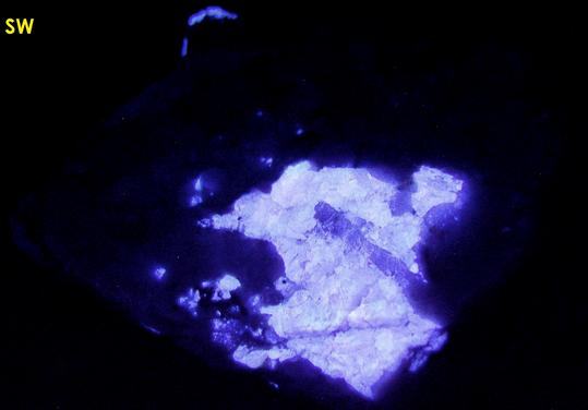 fluorescent SCHEELITE, QUARTZ, carbonates - Furniss Mine, Concord, Cabarrus County, North Carolina, USA