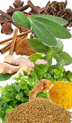 Top 10 Herb and Spice Antioxidants with ORAC scores 100g