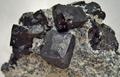 Magnetite cubic and tetrahexahedral modified, one time find in1990s, 2500' level, ZCA No. 4 Mine (St. Joe Mine), Balmat, Balmat-Edwards Zinc District. St. Lawrence County, New York, USA