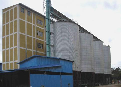 factory design 500T wheat flour mill in Ethiopia.