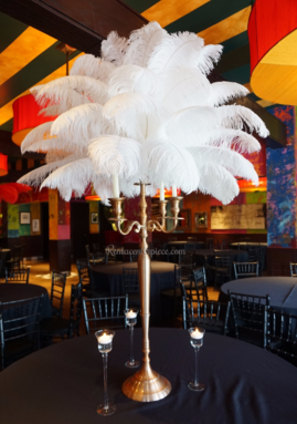 Rent Ostrich Feather candelabras centerpieces Los Angeles California