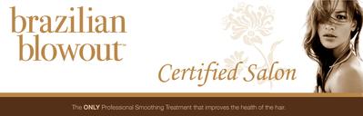 Brazilian Blowout Certified Salon | Barrington IL