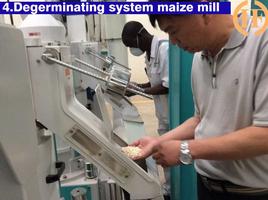 degerminating,dehulling maize for degermed maize