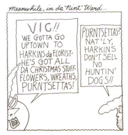 A hand-drawn cartoon of off-panel Vic and Nat'ly arguing whether purntsettas are flowers or dogs