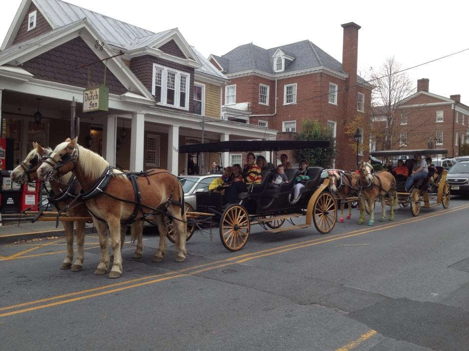 Horse-Drawn Carriage Tours of Downtown Historic Lexington