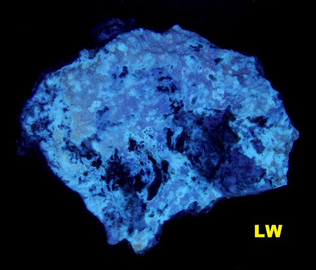 FL Deweylite Magnesite-Goat Hill Magnesia Quarries, Pennsylvania