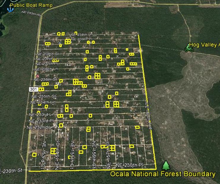 OCALA NATIONAL FOREST LAND