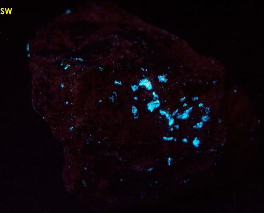 hydrocarbon mineral fluorescent IDRIALITE CURTISITE - Skaggs Springs Mine, Skaggs Springs, Warm Springs Dam, Coast Range, Sonoma County, California, USA