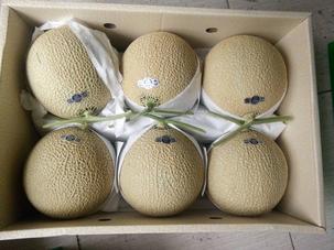 Dưa Muskmelon Nhật