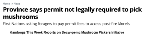 Kamloops This Week Secwepemc Mushroom Pickers Report