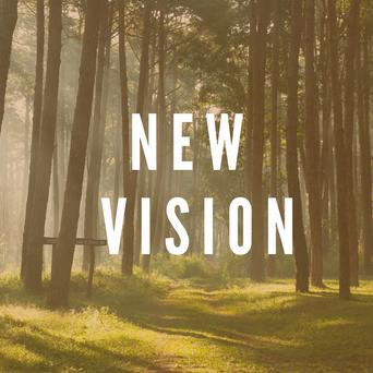 New Vision