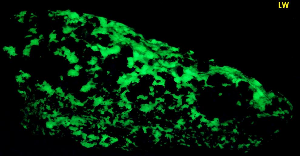 fluorescent WILLEMITE, CALCITE with FRANKLINITE - Franklin Mine, Franklin, Franklin Mining District, Sussex County, New Jersey, USA
