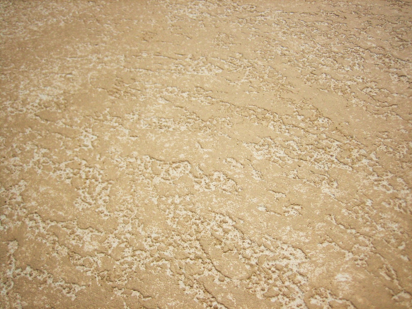 Pool Deck \u0026 Patio Painting \u0026 Faux Finishing in Lutz, New Tampa, Tampa  Palms, Land O Lakes, Carrollwood, Wesley Chapel, Florida, image size:1440x1080